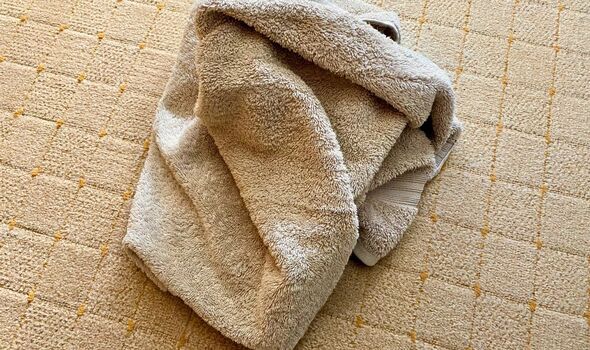 Dry towel
