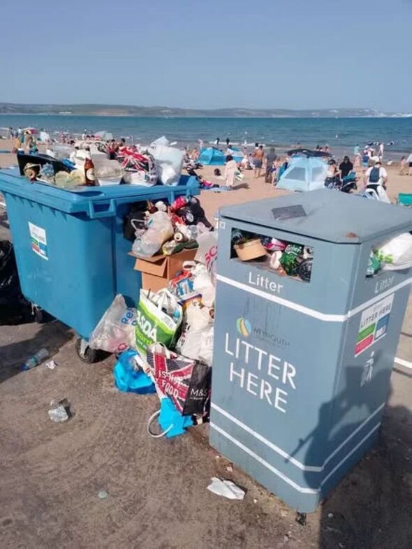 Litter