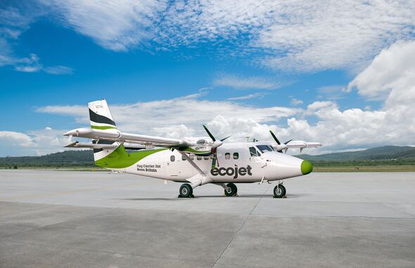 EcoJet aircraft