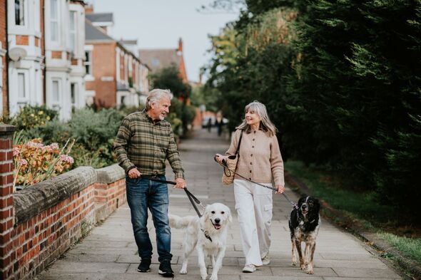 Two people walking dogs