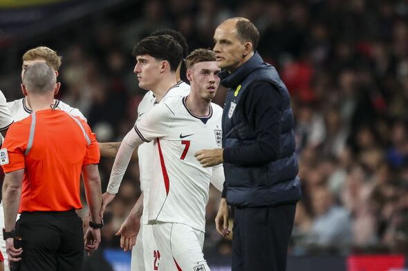 England v Japan - International Friendly