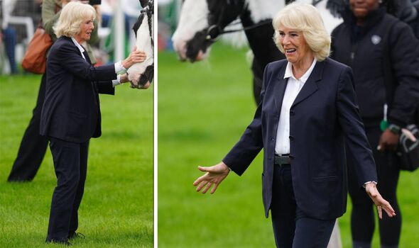 Queen Camilla