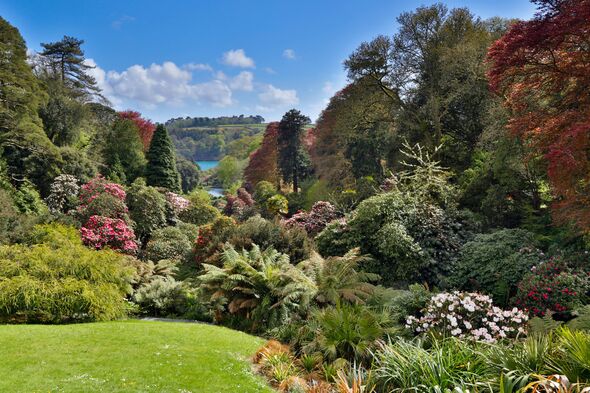 Trebah Garden, Cornwall