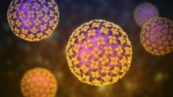 Hantavirus particles, computer illustration