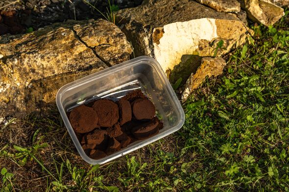 Coffee grounds on lawn