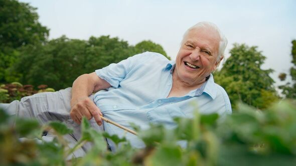 An elderly individual, dressed in a light blue shirt, reclines in a garden setting, surrounded by lush greenery and the backdrop