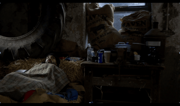 Kammy tries to get warm under blankets in a farmyard barn