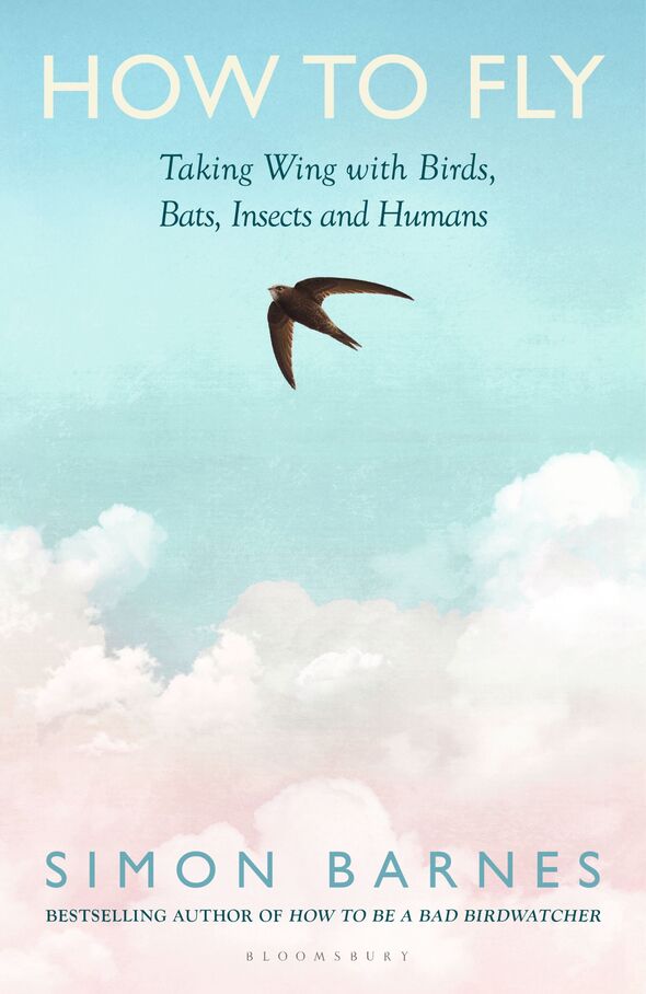 How to fly by Simon Barnes
