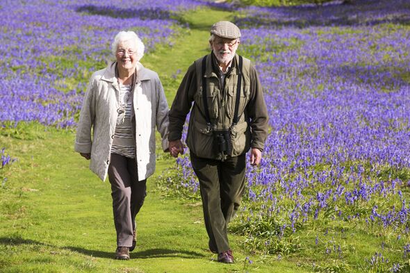 Old couple walking among bluebells