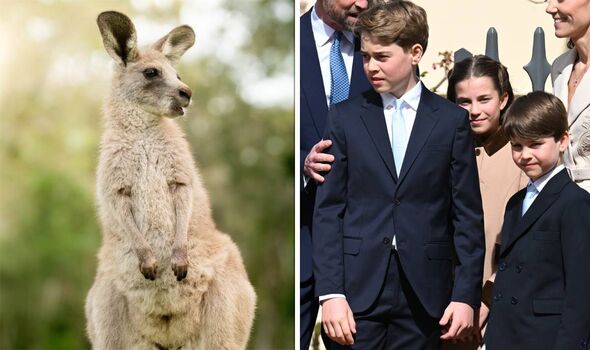the kangaroo and the wales children