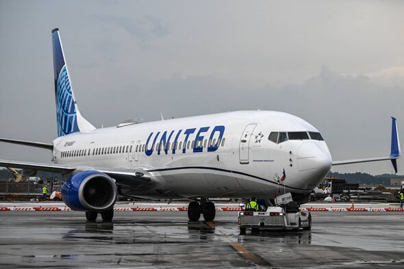 An image of a United Airlines Boeing 737 aircraft positioned on a wet runway, with a cloudy sky in the background. The airplane