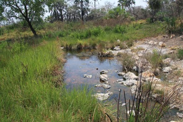 Researchers collected samples from hotsprings.