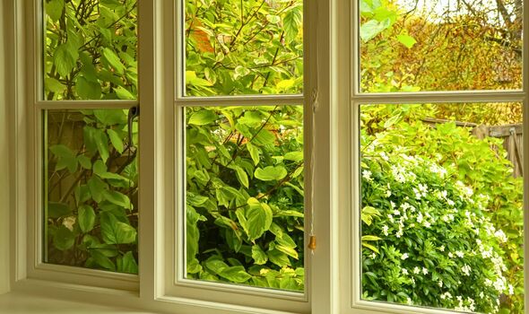 Picture of a completely clean window in spring