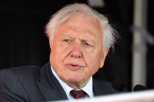 An older individual dressed formally in a suit and tie is seated in a chair, appearing to be engaged in a serious conversation o