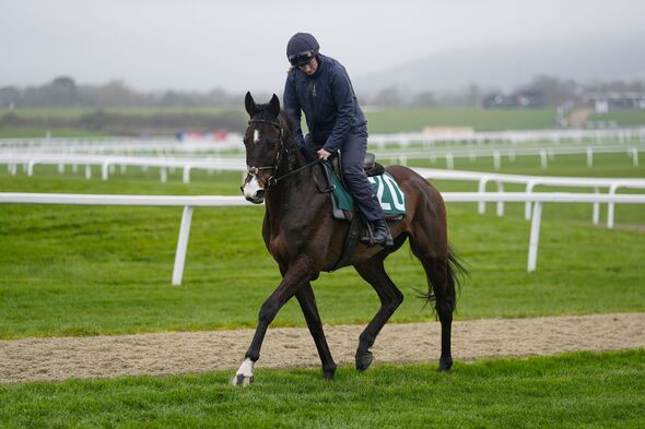 Cheltenham Festival Previews