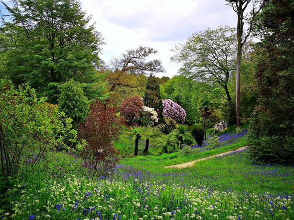 Glendurgan Gardens in Mawnan Smith near Falmouth