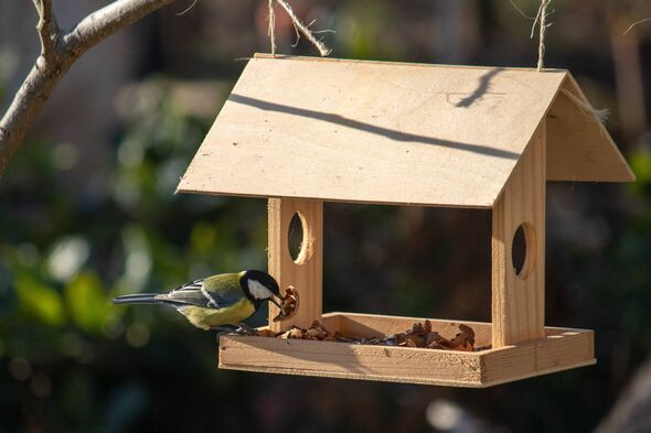 Hanging bird tables and tray feeders