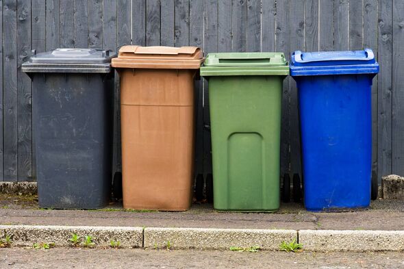 Wheelie bins in row