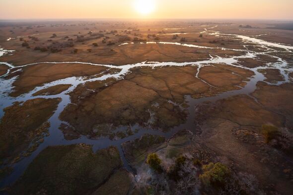 Busanga Plains, Kafue National Park, Zambia