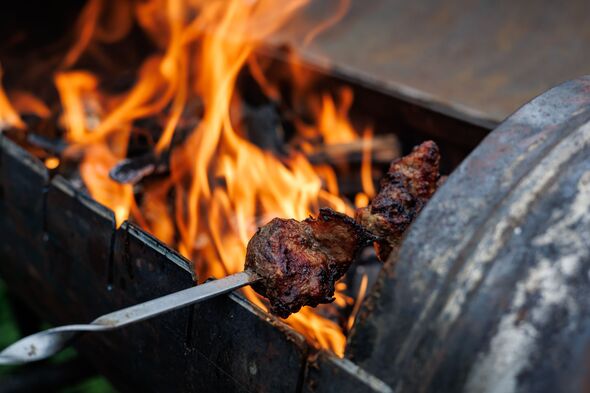 Juicy meat on a skewer grilled over an open fire in a brazier during a picnic.