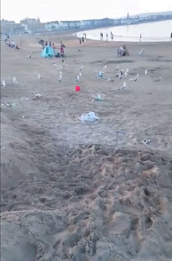 Litter on the beach
