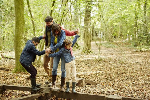 Beech woods in Autumn. A family of four holding hands and walking along wooden beams above the ground.
