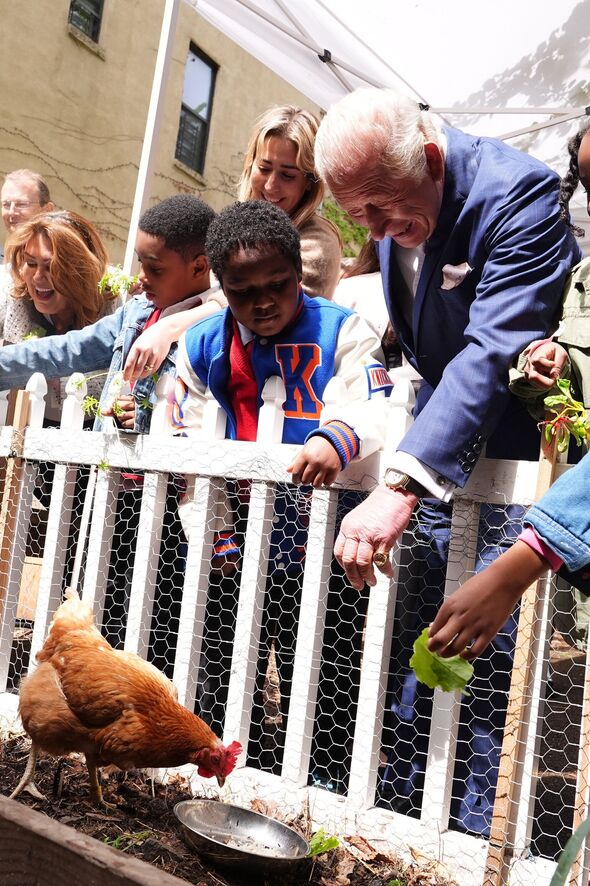 King Charles feeling a flock of chickens in New York