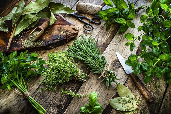 Fresh scented organic herbs for cooking shot on rustic kitchen table