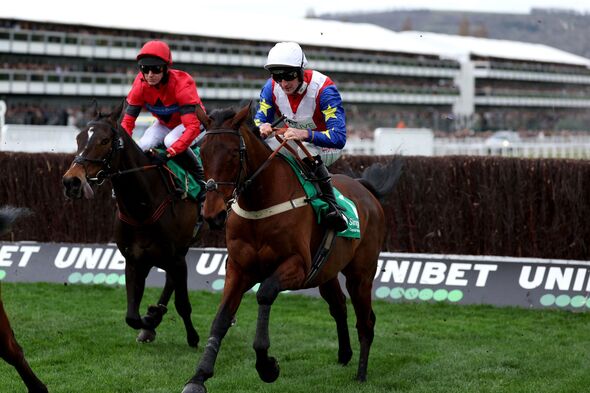Caoilin Quinn rides Hansard at Cheltenham Festival