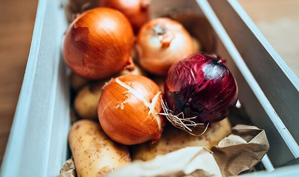 Picture of onions decaying next to potatoes