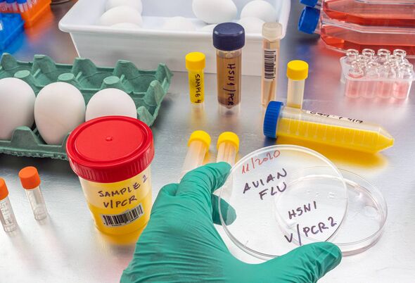 A petri dish in a lab