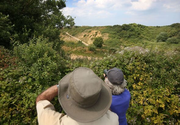 European Bee-Eaters Arrive In Norfolk And Attempt To Nest