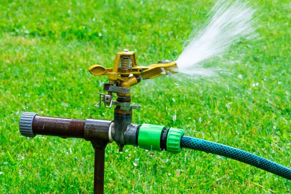 Water sprays from a garden sprinkler on a sunny day in a backyard with green grass