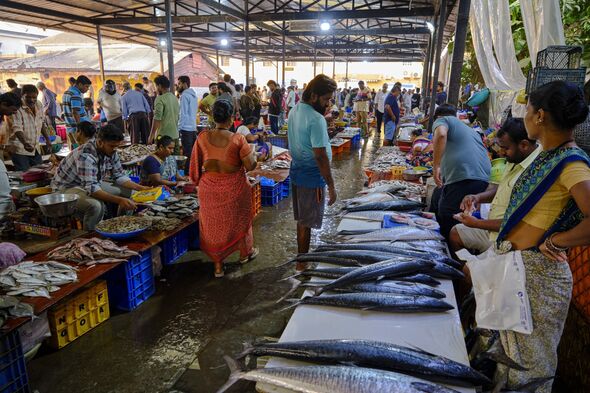 India, Goa, Panaji, fish market