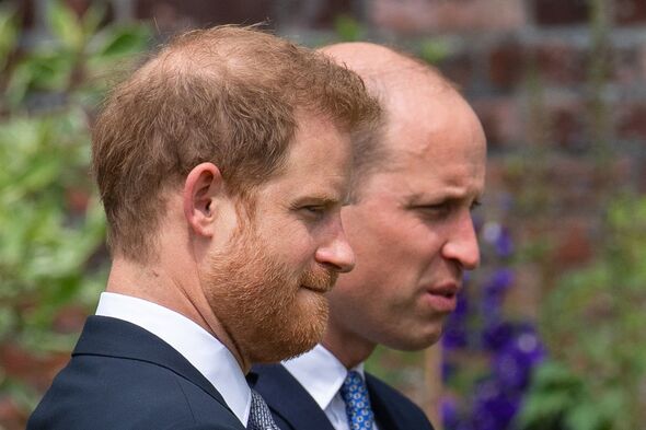 Prince William and Prince Harry at Diana statue