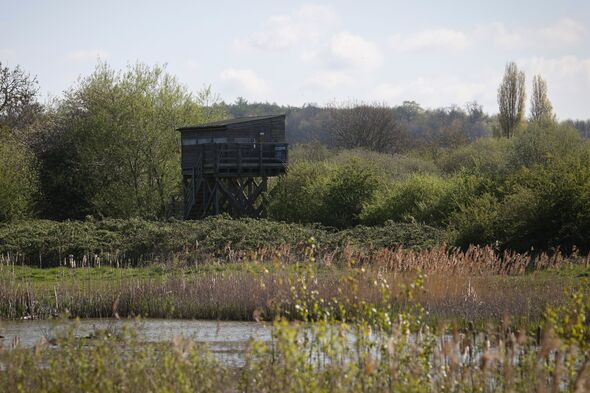A general view of part of Attenborough Nature Reserve in Nottingham.
