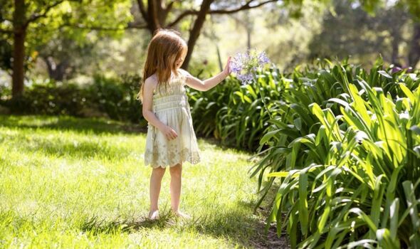 Lilibet in a garden on sunny day