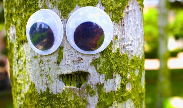 Picture of googly eyes on a tree