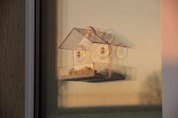 transparent bird feeder
