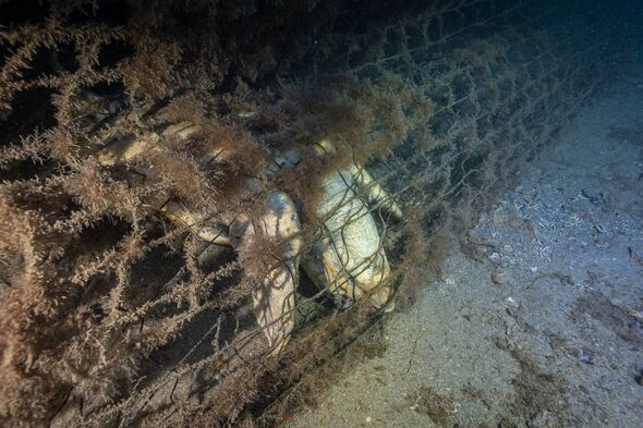 An underwater view showcases a partially visible object entangled in a net. The scene depicts marine debris, highlighting the im
