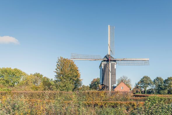 A traditional windmill situated in the midst of an expansive field, surrounded by lush greenery and a clear blue sky.