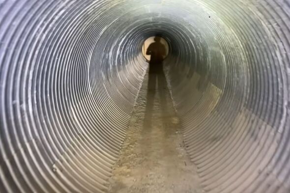 Colin explored the tunnel leading to the mansion