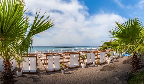 Palm-lined sunbeds at Fanabe Beach, Costa Adeje, Tenerife